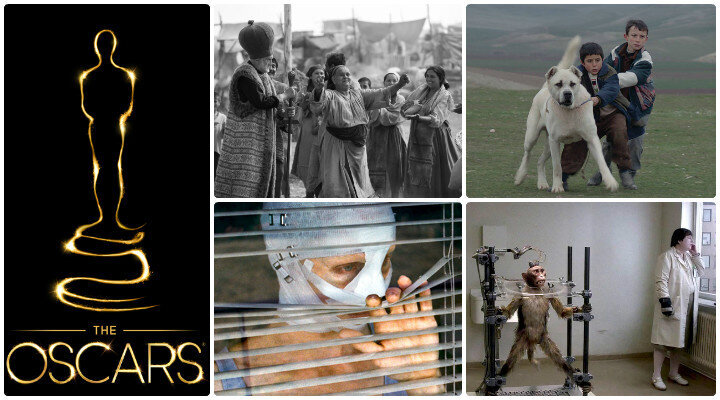 Yabancı Dilde En İyi Film Oscarı Aday Adayları – 2016