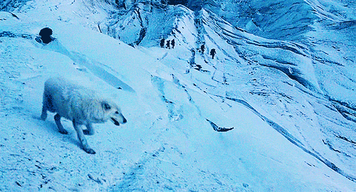 ghost-game-of-thrones-filmloverss