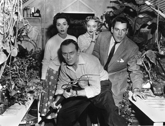 invasion-of-the-body-snatchers-1956-filmloverss