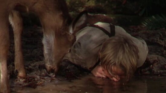 the-yearling-filmloverss
