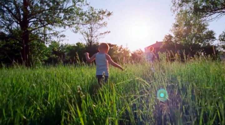 Terrence Malick ve O Muhteşem Gözü