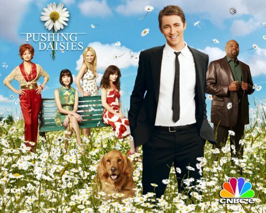 pushing-daisies-filmloverss