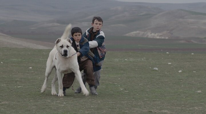 Sivas Altın Küre Yolunda!