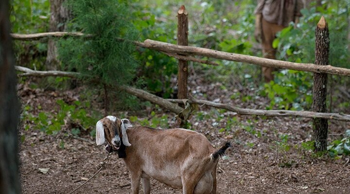 The Walking Dead 6. Sezon 4. Bölüm İncelemesi