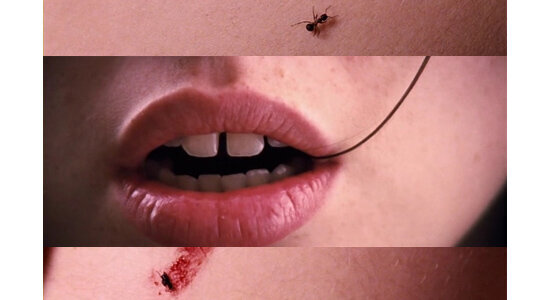 amer-filmloverss-8