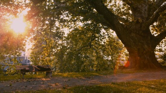 blue-is-the-warmest-color-kechiche-filmloverss
