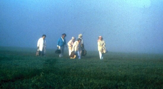 stranger - in - good - company - filmloverss