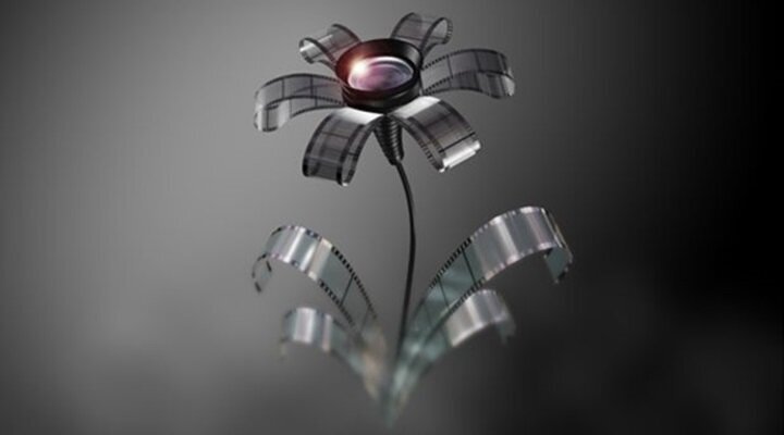 14. Uluslararası Çevre Kısa Film Festivali Başvuruları Başladı