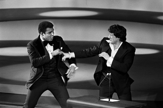 ali-stallone-filmloverss