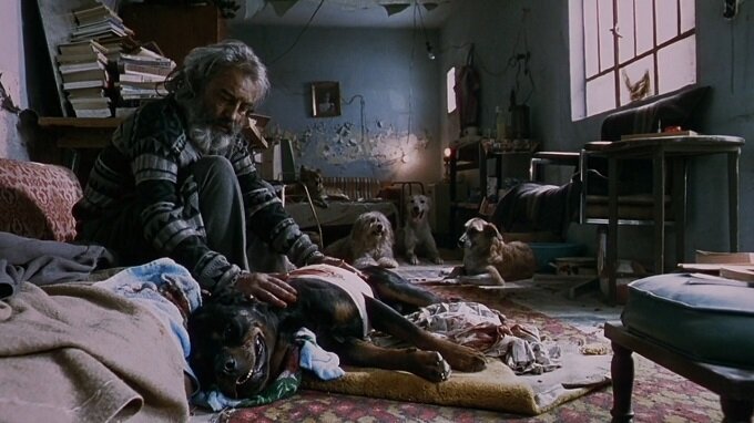 amores-perros-2000-filmloverss