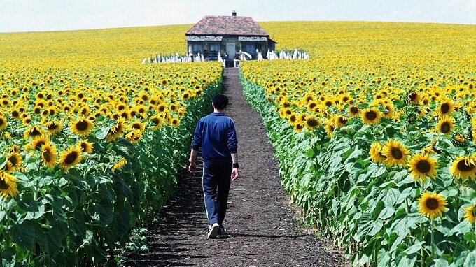 everything-is-illuminated-filmloverss
