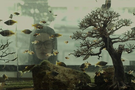 ma-dar-behesht-sina-ataeian-dena-if-istanbul-2016-filmloverss