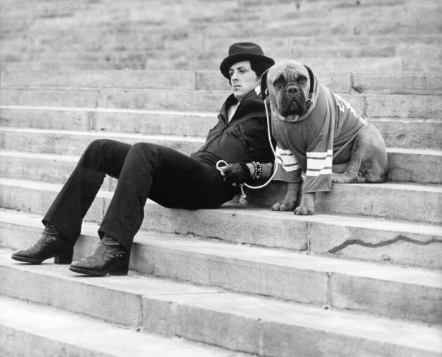 rocky-ve-butkuss-filmloverss