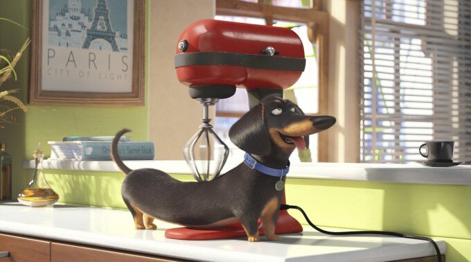 the-secret-life-of-pets-filmloverss