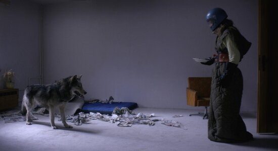 wild - 2 - filmloverss