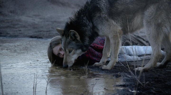 Sundance Yarışındaki Wild’dan Heyecanlandıran Fragman!