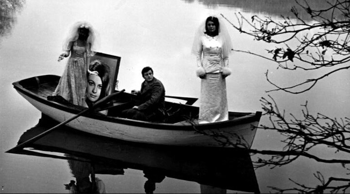 Elli Yıl Sonra Yeniden Sevmek Zamanı