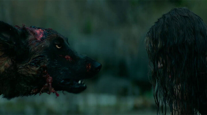 Cabin Fever Filminin Yeniden Çevriminden Fragman Yayınlandı!