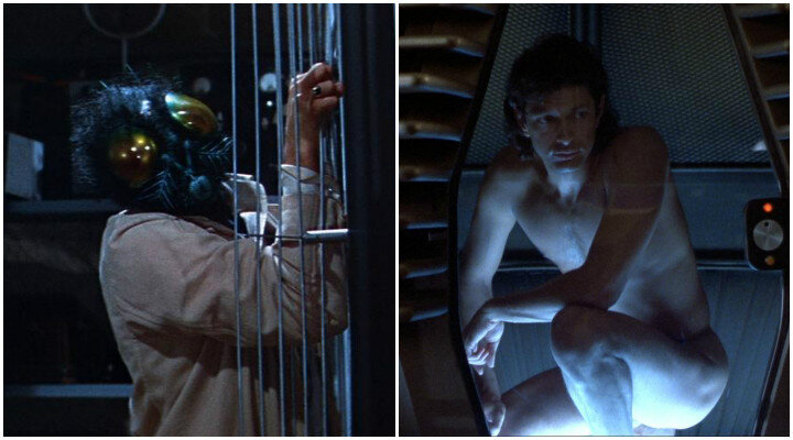 Remake Notları: The Fly