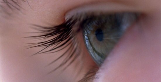 terrence-malick-belgeseli-voyage-of-time-gorsel-3-filmloverss
