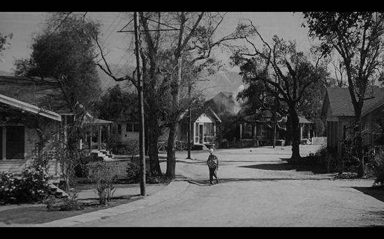 to-kill-a-mockingbird-15-filmloverss