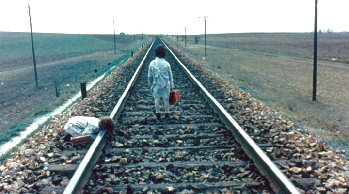 Büyümenin Sarsıcı Etkisi: Arı Kovanının Ruhu