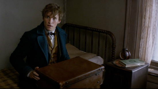 eddie-red-mayne-filmloverss