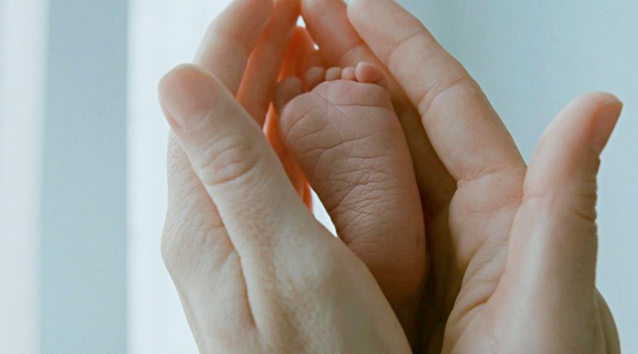 Işığı Tutan Eller: Emmanuel Lubezki