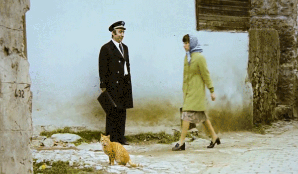 sener-sen-filmloverss