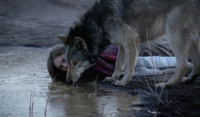 wild - filmloverss