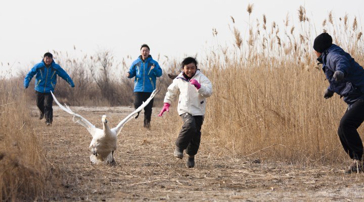 27. Ankara Uluslararası Film Festivali’nde Küçük İzleyiciler Seçkisi!