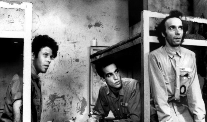 down - by - law - filmloverss
