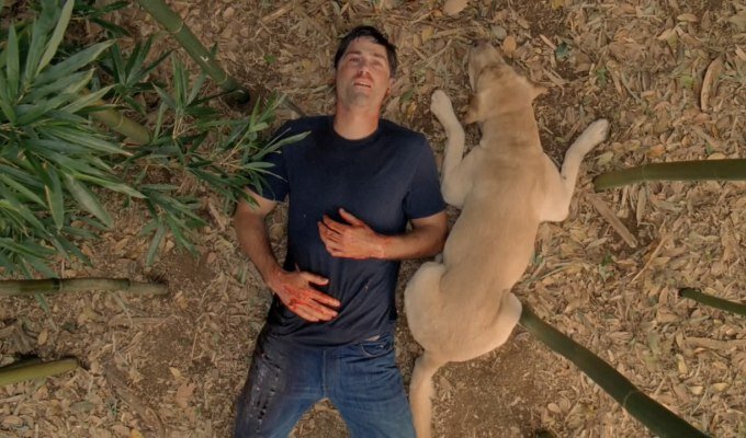 lost - filmloverss