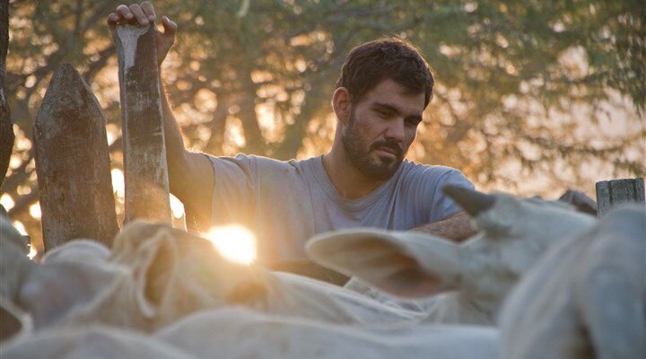 Neon Boğa – Neon Bull