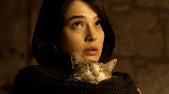 49. SİYAD Ödülleri Adayları Belli Oldu!