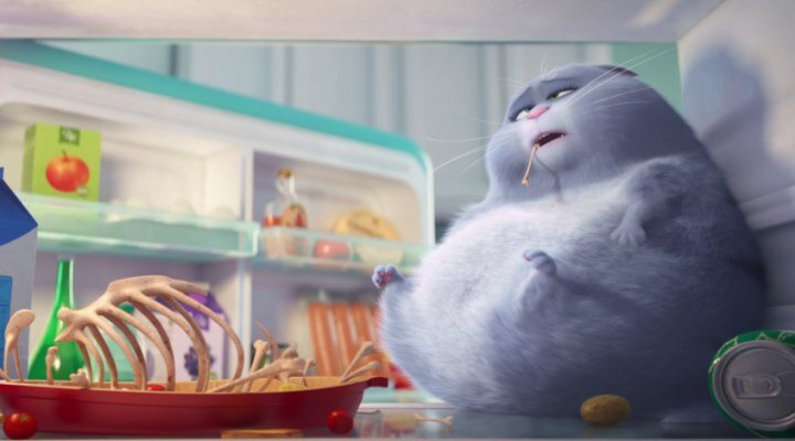Yeni The Secret Life Of Pets Fragmanı Yayınlandı!