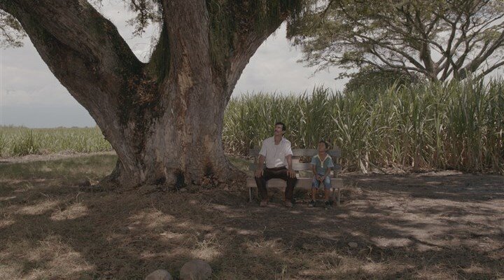 Toprağın Gölgesinde – Land and Shade