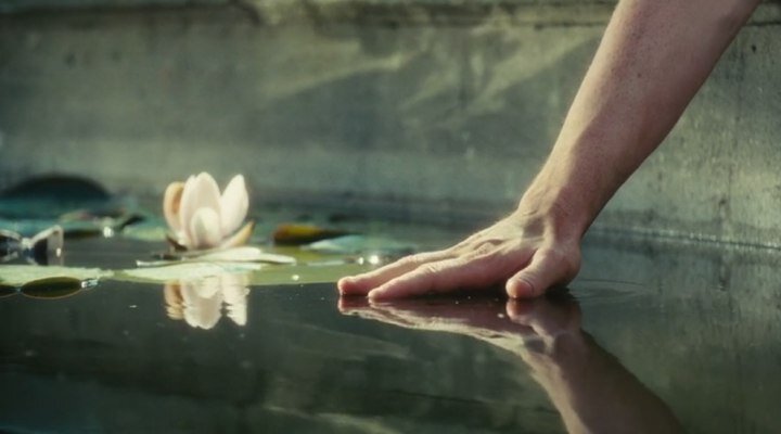 Muazzam Bir Çalışma: Renklerin Film Sahnelerine Yansıması