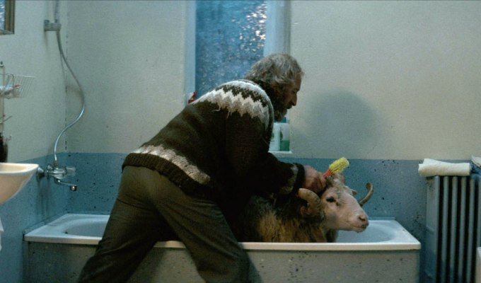 rams-filmloverss