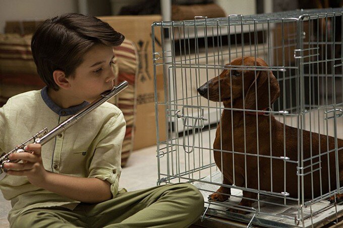 wiener-dog-filmloverss