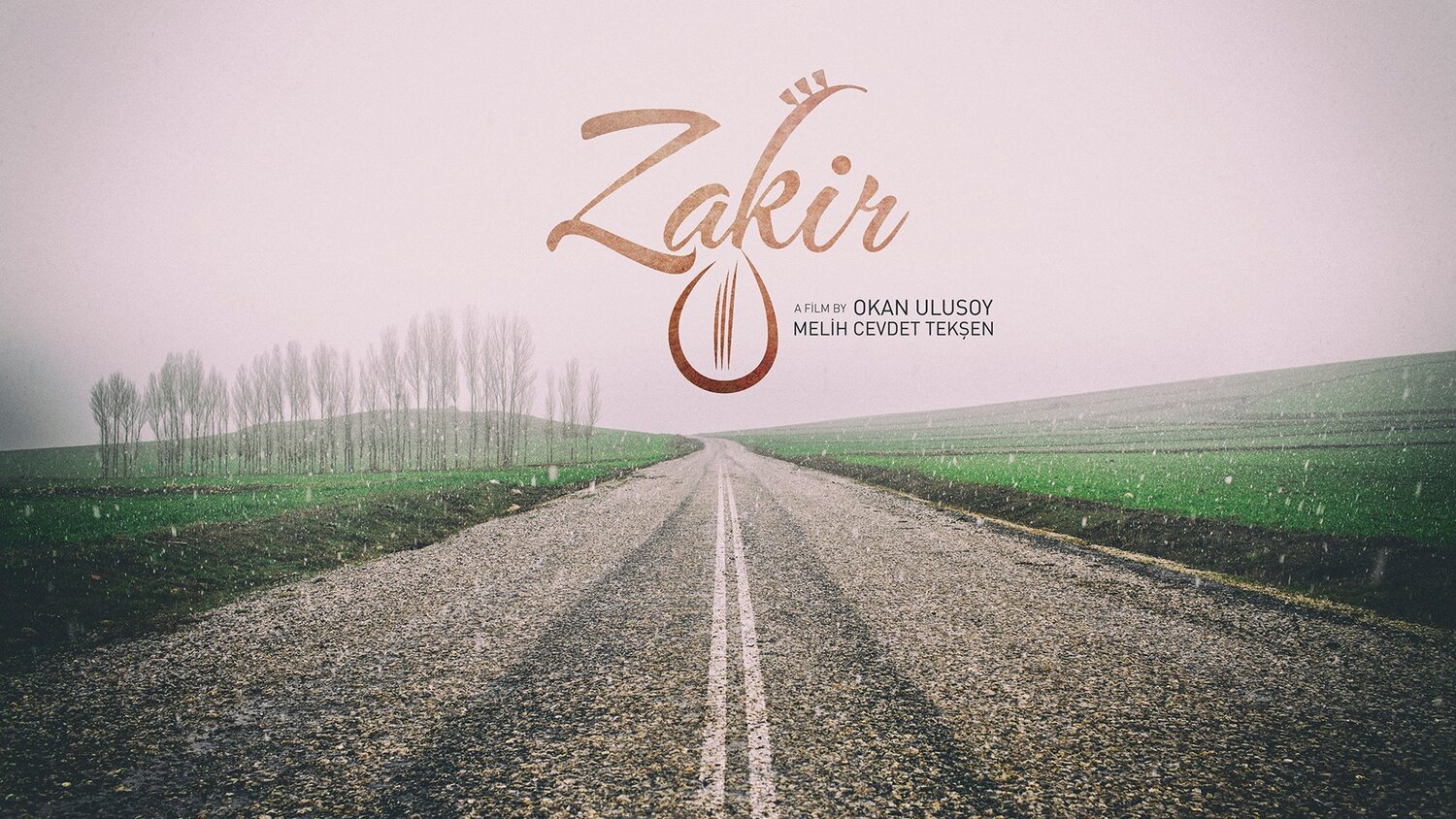 zakir-belgeseli-filmloverss