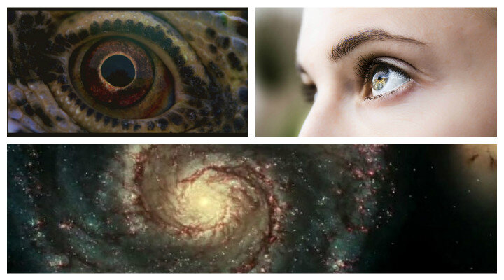 Terrence Malick İmzalı Voyage Of Time’dan Yeni Detaylar Yayınlandı!