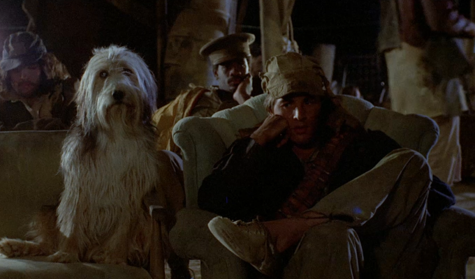 a-boy-and-his-dog-filmloverss