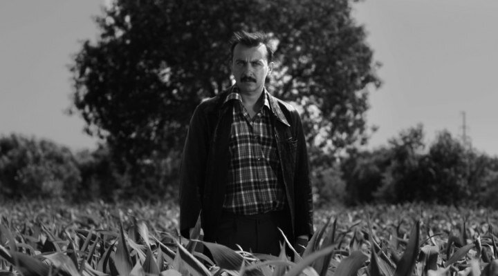 Beklenmedik Bir Şekilde Mutlu Edebilen 10 Muazzam Film!