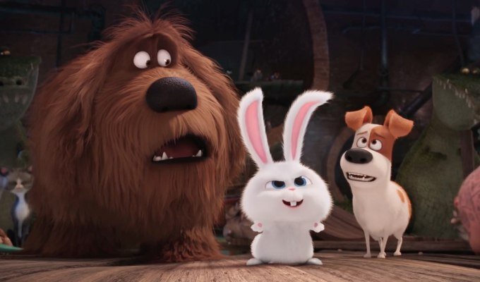 the-secret-life-of-pets-filmloverss