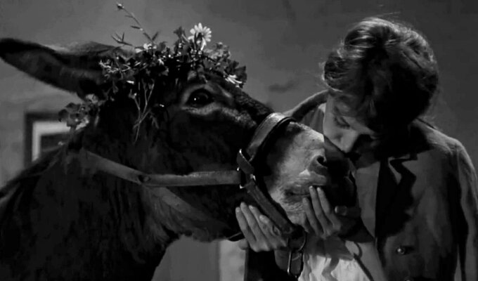 au-hasard-balthazar-filmloverss