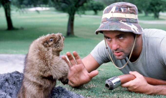 caddyshack-filmloverss