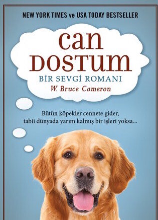 can-dostum-filmloverss