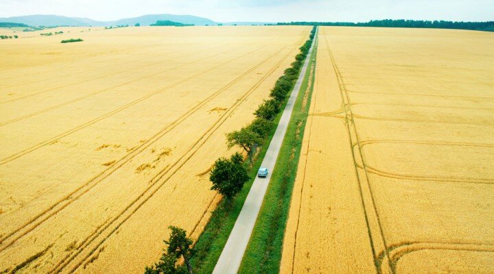 Fatih Akın’ın Son Filmi Elveda Berlin’in Türkçe Afişi Yayınlandı!