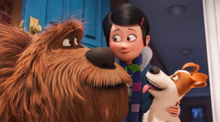 Evcil Hayvanların Gizli Yaşamı – The Secret Life of Pets